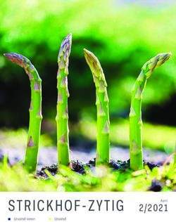 STRICKHOF-ZYTIG 2/2021 - April