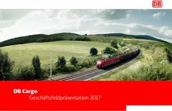 DB Cargo Gesch&auml;ftsfeldpr&auml;sentation 2017 - Xrail