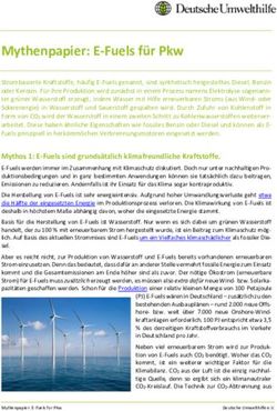 Mythenpapier: E-Fuels f&uuml;r Pkw - Deutsche Umwelthilfe eV