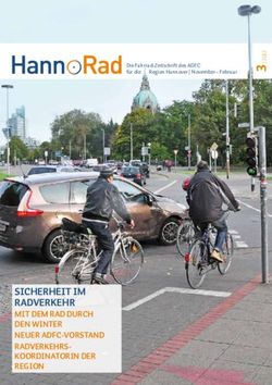 SICHERHEIT IM RADVERKEHR - MIT DEM RAD DURCH DEN WINTER NEUER ADFC-VORSTAND RADVERKEHRS-KOORDINATORIN DER - ADFC HANNOVER