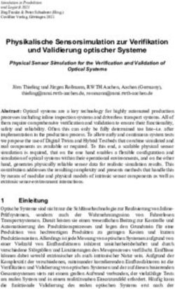 Physikalische Sensorsimulation zur Verifikation und Validierung optischer Systeme