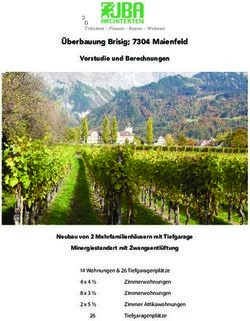 Überbauung Brisig; 7304 Maienfeld - Vorstudie und Berechnungen - SMP Immobilien