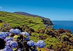 Azoren - São Miguel Traumlandschaften im Atlantik - 8-tägige Gruppenreise inkl. Flug ab/bis Frankfurt/M. Reisetermin: 11.9. bis 18.9.2018 ...