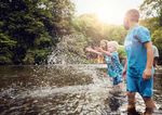 Programm 2022 Tal der Vielfalt - Nationalpark Thayatal
