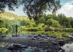 Programm 2022 Tal der Vielfalt - Nationalpark Thayatal