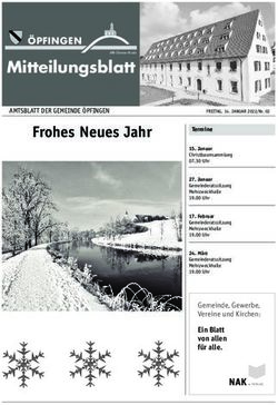Frohes Neues Jahr Frohes Neues Jahr - Gemeinde &Ouml;pfingen
