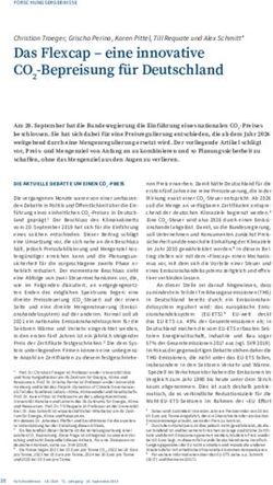 Das Flexcap - eine innovative CO2-Bepreisung f&uuml;r Deutschland