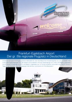 Frankfurt-Egelsbach Airport Der größte regionale Flugplatz in Deutschland