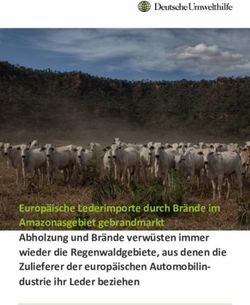 Europ&auml;ische Lederimporte durch Br&auml;nde im Amazonasgebiet gebrandmarkt Abholzung und Br&auml;nde verw&uuml;sten immer wieder die Regenwaldgebiete, aus denen ...