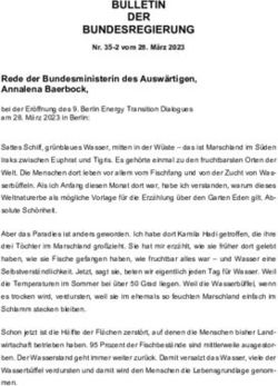 BULLETIN DER BUNDESREGIERUNG
