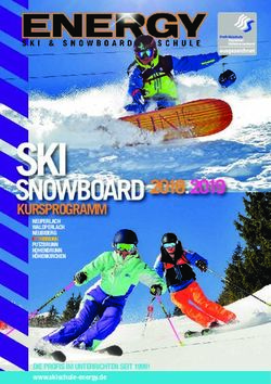 SKI SNOWBOARD 2018.2019 KURSPROGRAMM - DIE PROFIS IM UNTERRICHTEN SEIT 1999! - bei der Skischule ENERGY!