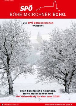 BÖHEIMKIRCHNER ECHO. Die SPÖ Böheimkirchen wünscht - allen besinnliche Feiertage, frohe Weihnachten und viel Gesundheit für das Jahr 2021! ...