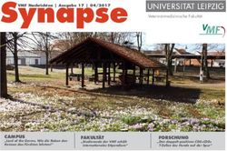 Synapse - Veterin&auml;rmedizinische Fakult&auml;t