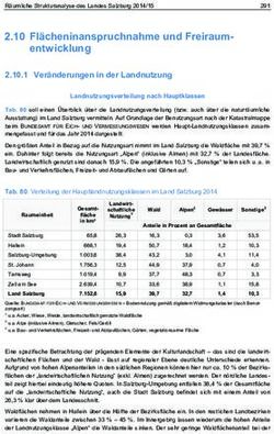 2.10 Fl&auml;cheninanspruchnahme und Freiraum-R&auml;umliche Strukturanalyse des Landes Salzburg 2014/15