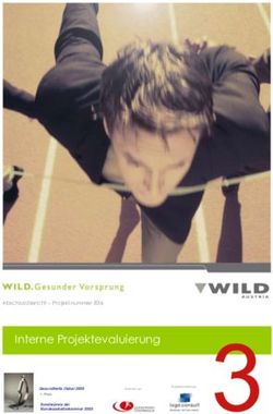 Interne Projektevaluierung - Fonds Gesundes Österreich