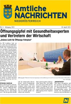 &Ouml;ffnungsgipfel mit Gesundheitsexperten und Vertretern der Wirtschaft - Land Nieder&ouml;sterreich