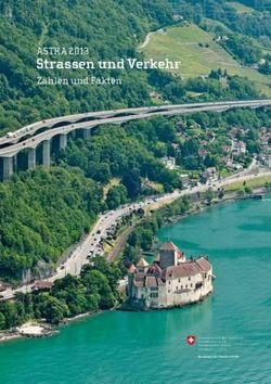 Strassen und Verkehr ASTRA 2013