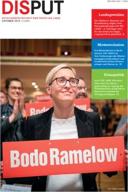 DISPUT - Partei DIE LINKE