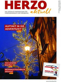 AUFTAKT IN DIE ADVENTSZEIT - SOLI-JUGEND BASTELT WEIHNACHTSSCHMUCK GESUCHT - DAS AKTUELLE STADTMAGAZIN FÜR HERZOGENAURACH UND UMGEBUNG - HERZOaktuell