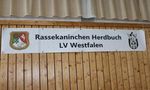 Herdbuchschau + Angora Leistungsschau - Landesverband ...