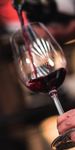 Weinbau und Weingenuss 2022/2023 - Weinfeste, Wein Panorama Weg, Weing&uuml;ter und Besenwirtschaften - Stadt Heilbronn
