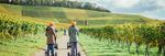 Weinbau und Weingenuss 2022/2023 - Weinfeste, Wein Panorama Weg, Weing&uuml;ter und Besenwirtschaften - Stadt Heilbronn