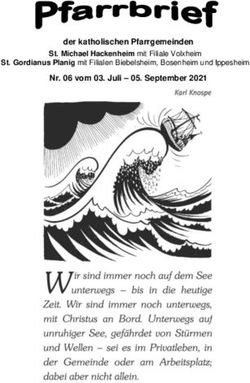 Der katholischen Pfarrgemeinden - Bistum Mainz