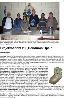 Projektbericht zu "Honduras Opal" - Das Projekt