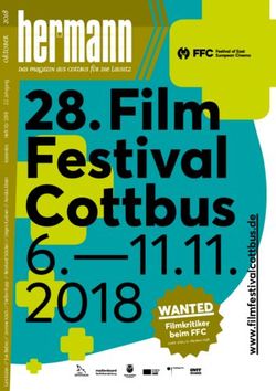 Film Festival Cottbus - 6.-11.11. 2018 WANTED - Hermann im Netz