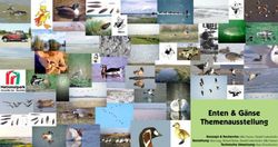 Enten & G&auml;nse Themenausstellung - Konzept & Recherche: Silke Farmer, Harald Grabenhofer Gestaltung: Alois Lang, Michael Kroiss, Harald ...