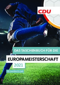 EUROPAMEISTERSCHAFT 2021 - DAS TASCHENBUCH FÜR DIE 11. Juni bis 11. Juli - Axel Knoerig