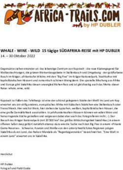 WHALE - WINE - WILD 15 t&auml;gige S&Uuml;DAFRIKA-REISE mit HP DUBLER - WILD 15 t&auml;gige S&Uuml;DAFRIKA-REISE mit HP DUBLER
