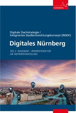 Digitales N&uuml;rnberg Digitale Dachstrategie / Integriertes Stadtentwicklungskonzept (INSEK) - Stadt N&uuml;rnberg