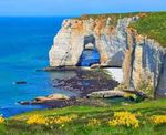 Frankreich - Die Normandie: der grüne Norden - globalis reisen