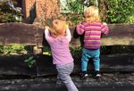 Kultursensible Kita-P&auml;dagogiK - Berlin-Brandenburg-schlesische Oberlausitz - Praxiseinblicke sowie entwicklungspsychologische ...