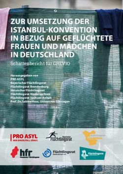 ZUR UMSETZUNG DER ISTANBUL-KONVENTION IN BEZUG AUF GEFLÜCHTETE FRAUEN UND MÄDCHEN IN DEUTSCHLAND - Flüchtlingsrat ...