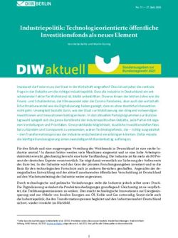 Industriepolitik: Technologieorientierte &ouml;ffentliche Investitionsfonds als neues Element