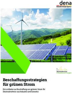Beschaffungsstrategien f&uuml;r gr&uuml;nen Strom - Ein Leitfaden zur Beschaffung von gr&uuml;nem Strom f&uuml;r Stromabnehmer aus Industrie und Gewerbe ...