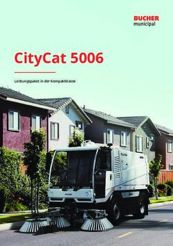 CityCat 5006 Leistungspaket in der Kompaktklasse - cloudfront.net