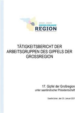 TÄTIGKEITSBERICHT DER ARBEITSGRUPPEN DES GIPFELS DER GROSSREGION - Gipfel der Großregion - Grande Région