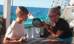 Mikroplastik im Meer - Zwei Schüler berichten von ihrer Forschung im Atlantik - Ocean College