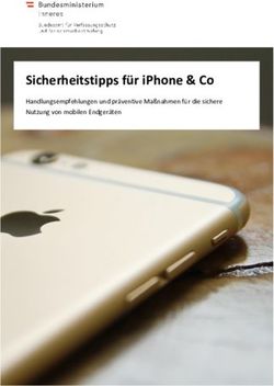 Sicherheitstipps f&uuml;r iPhone & Co - Handlungsempfehlungen und pr&auml;ventive Ma&szlig;nahmen f&uuml;r die sichere Nutzung von mobilen Endger&auml;ten - BVT