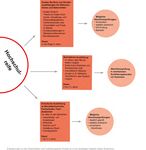Studien- und Berufswahl Wege nach dem Abitur - Schuljahr 2020/2021 Informationen der