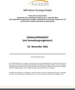 VERKAUFSPROSPEKT MPF Aktien Strategie Global