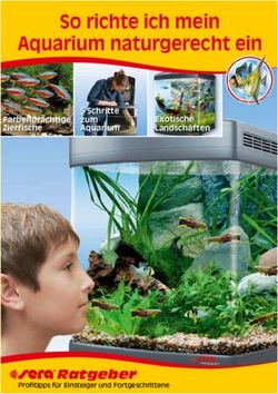 So richte ich mein Aquarium naturgerecht ein - Ratgeber - 5 Schritte zum Aquarium