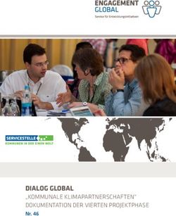 DIALOG GLOBAL "KOMMUNALE KLIMAPARTNERSCHAFTEN" DOKUMENTATION DER VIERTEN PROJEKTPHASE Nr. 46 - "Kommunale Klimapartnerschaften"
