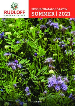 SOMMER | 2021 PRODUKTKATALOG SAATEN - www.rudloff.de - Rudloff-Feldsaaten