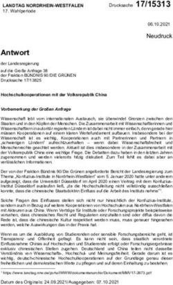 Antwort der Landesregierung auf die Große Anfrage 38 der Fraktion BÜNDNIS 90/DIE GRÜNEN Drucksache 17/13825 - Landtag NRW
