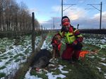 Wahlen Regula Lehmann Vorstand, Präsidentin - Retriever Club Schweiz