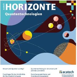 H HORIZONTE - iG acatech - International Nuclear Information System (INIS)